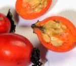 rosehip seed