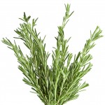 Rosemary-leaves1