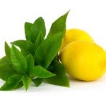 lemon verbena