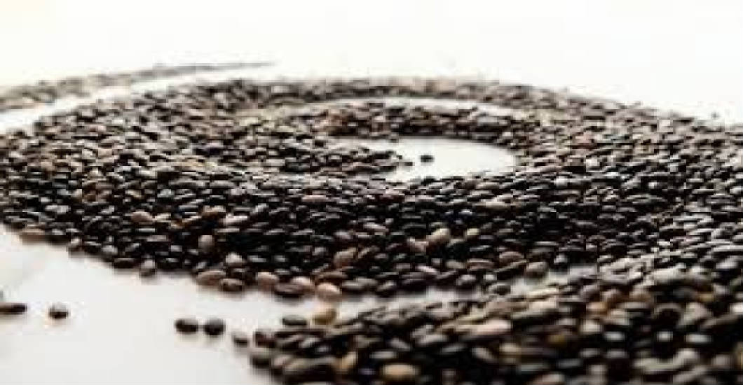 Chia Seeds……Tiny Power Packed Wonders.